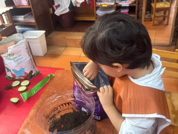 Niño sembrando frutas, proyecto huerto