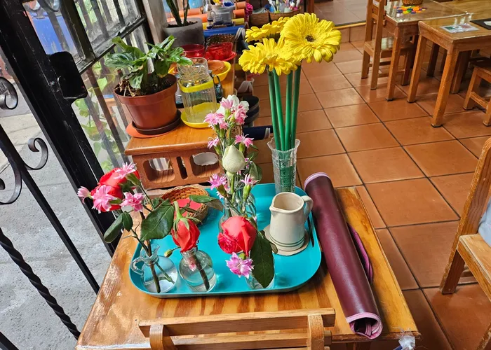 Planta pequeña y jarra de vidrio sobre una mesa de madera iluminada