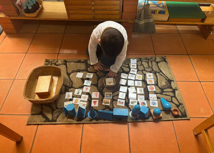Manos de un niño encajando cilindros de madera en bloques Montessori